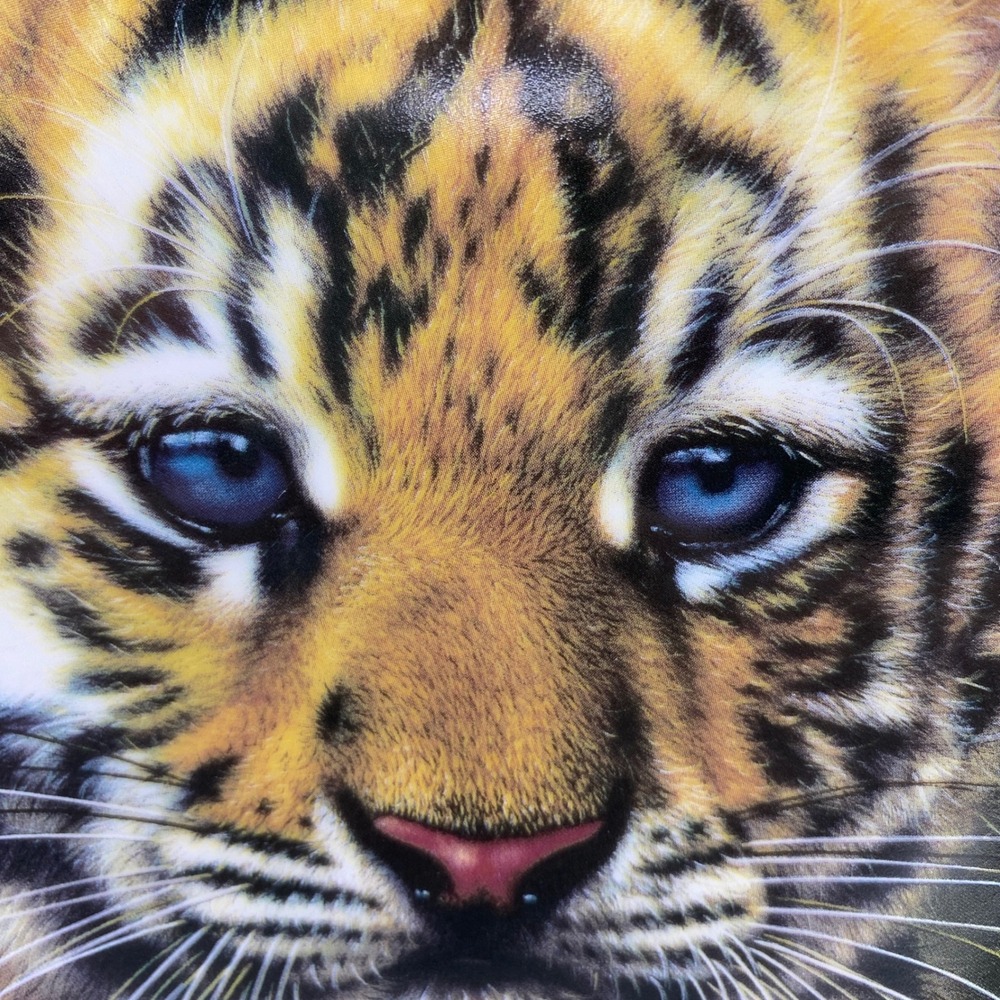 Princeton Gallery Tiger Cub 8.5" Porcelain Collectible Plate Trinket Dish #19276